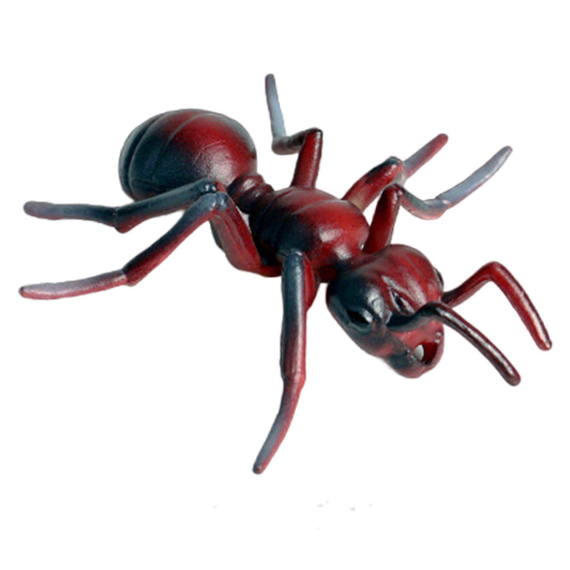 Plastic Ants, Realistic Animal Figures for Educational Science Projects, Ant Growth Cycle Model, Early Learning Toy