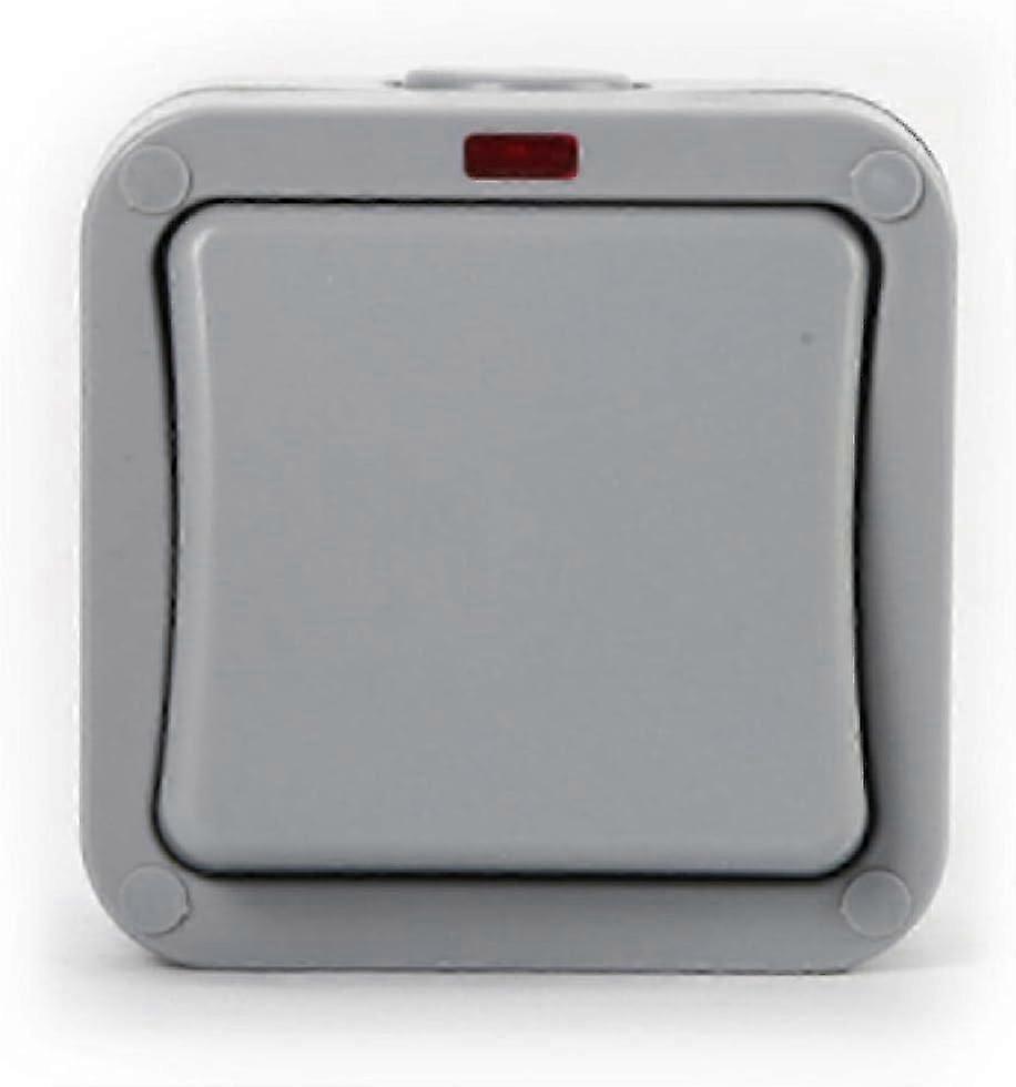 Weatherproof Switch Light Switch IP65 Outdoor Double Switch Dust-Proof Switch Outdoor Grey