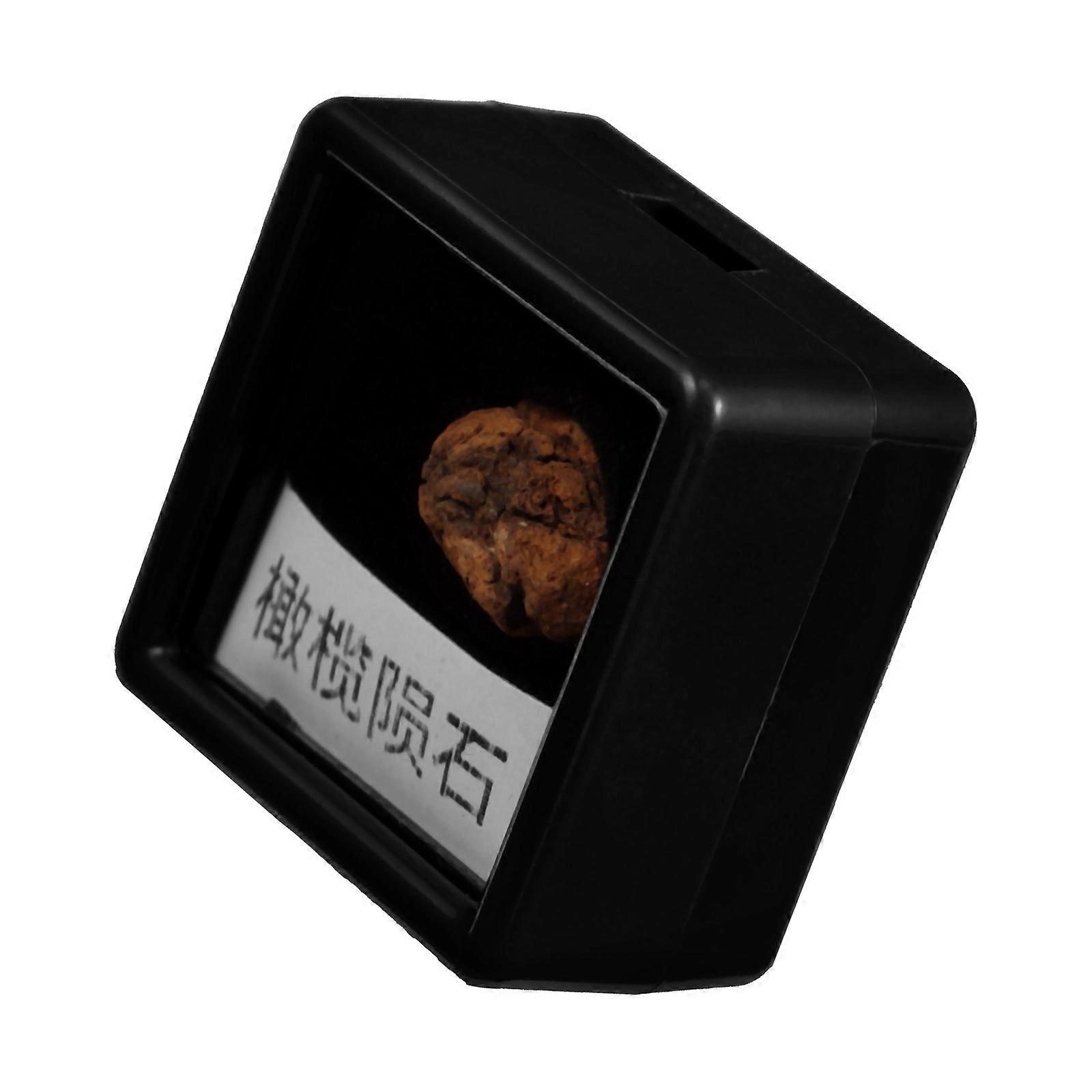 4Pcs Meteorite Ornament Stone Model for Collection and Decoration