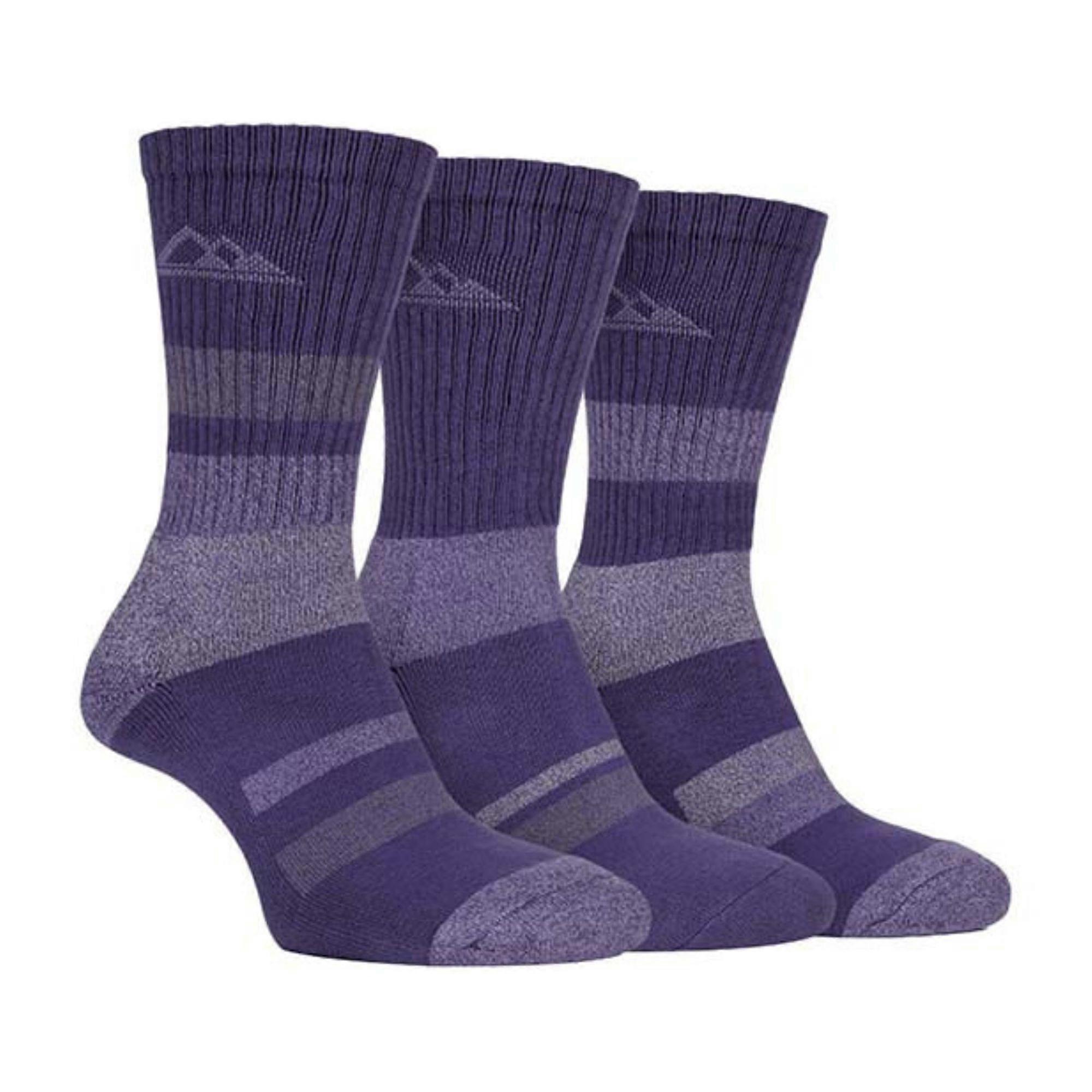 Storm Bloc - 3 Pack Ladies Padded Sole Cotton Hiking Socks