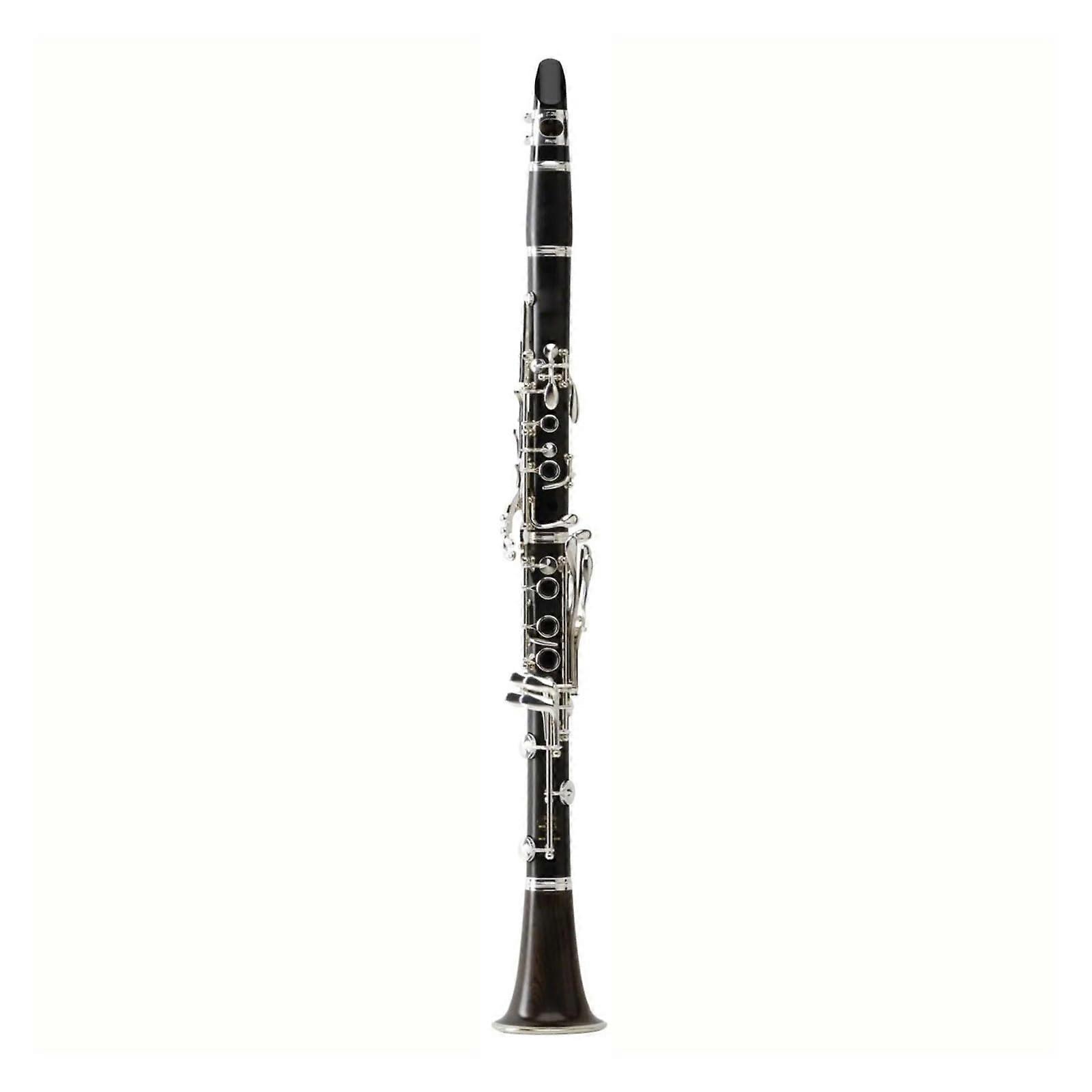 Professional Bb Clarinet for Beginners with Rich Resonant Tone and Durable Construction
