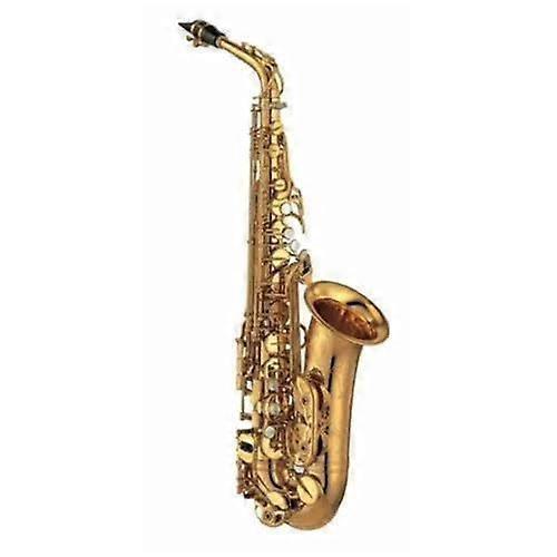 Professional Gold Alto Saxophone Drop E with Case, Expanded Low Range, Responsive Key Action
