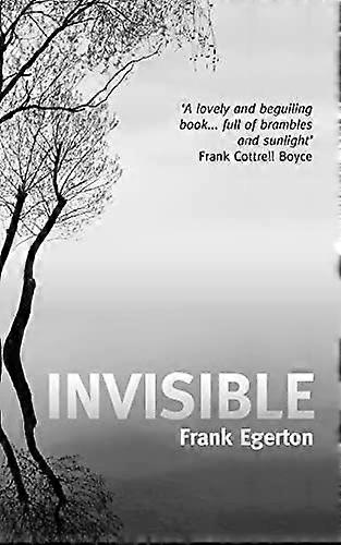 Invisible