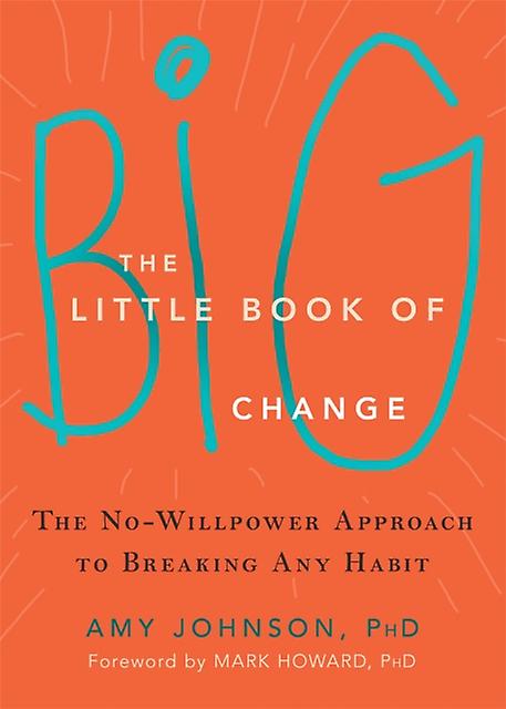 The Little Book Of Big Change by Amy Johnson Paperback