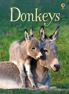 Donkeys by James Maclaine Paperback Book