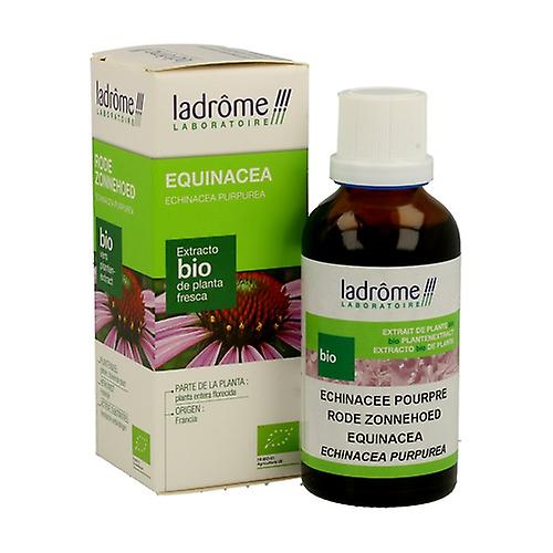 Echinacea Bio Extract 50 ml