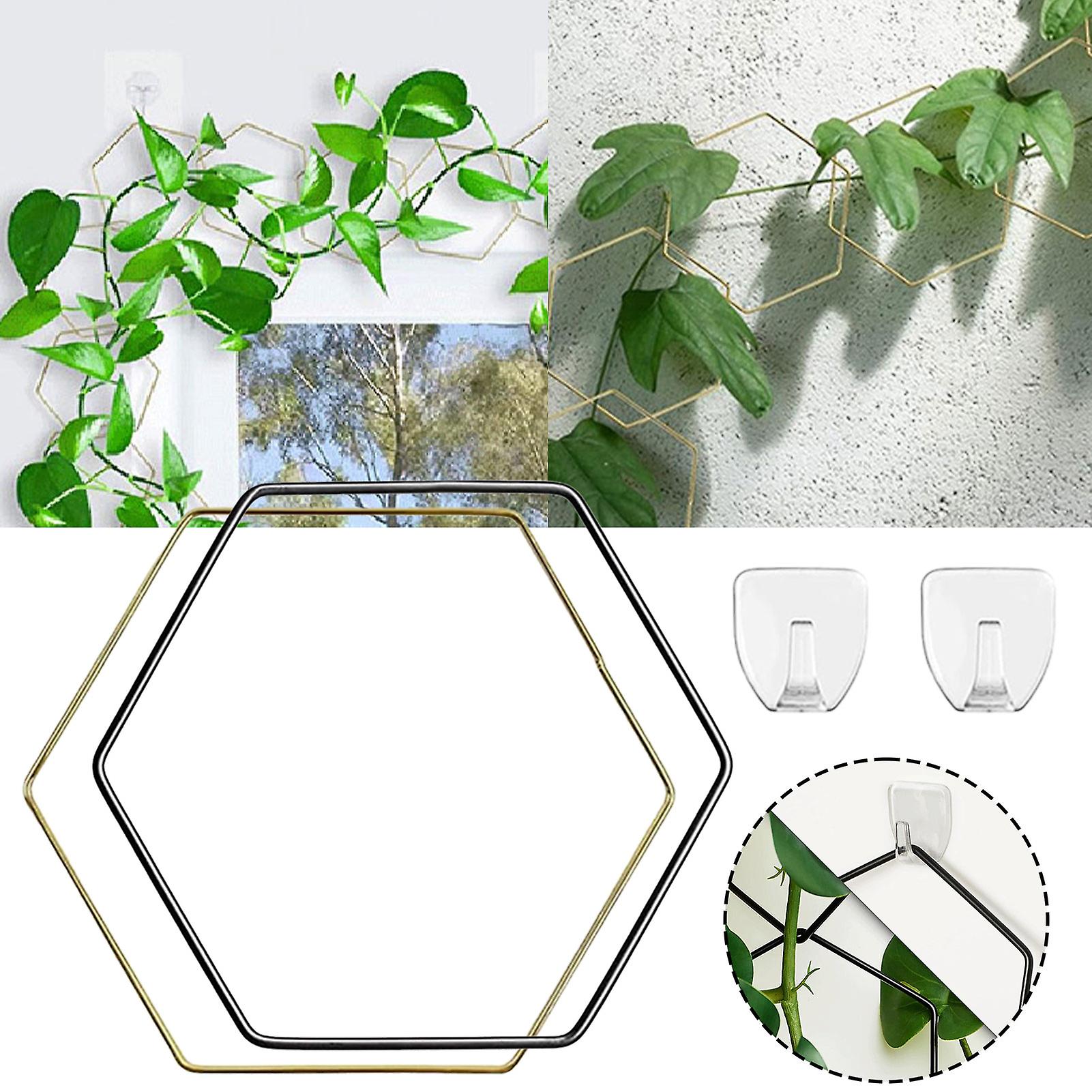 Hexagons Garden Trellis Frame Multifunctional Stable Plant Support Rings for Lattice Support