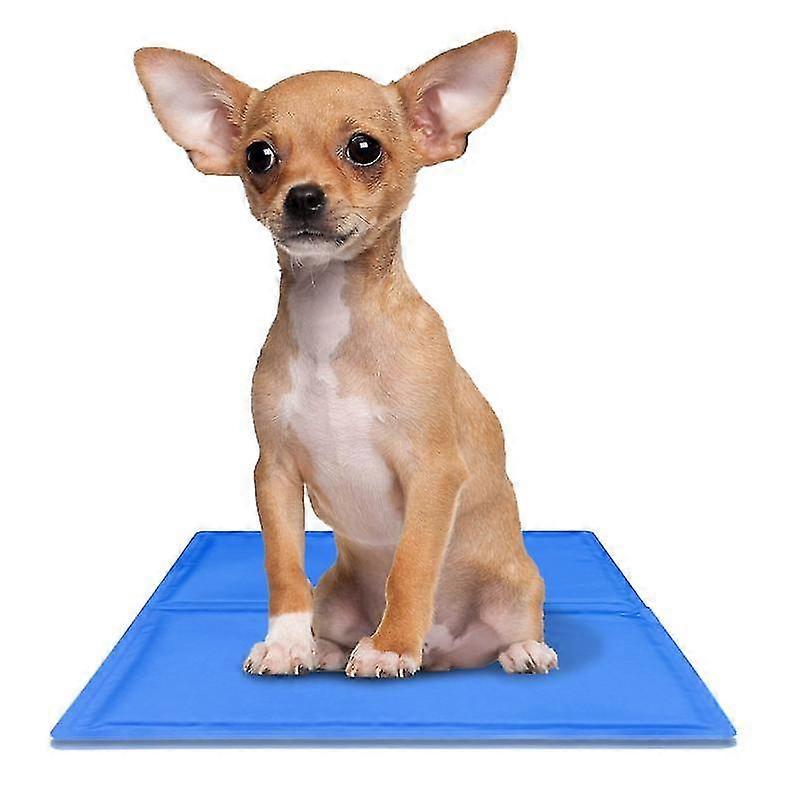 Dog Ice Mat Pet Cooling Without Water Electricity Blue Double-layer Pressing Pad Machine Washable Summer Reusable
