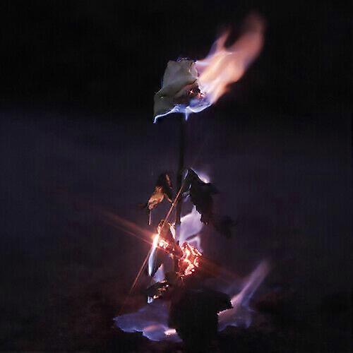 CD Farwarmth Momentary Glow (2020) NUEVO