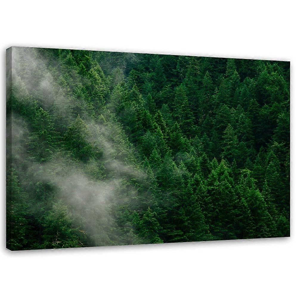 Impression sur toile, Brouillard sur une forêt - 100x70
