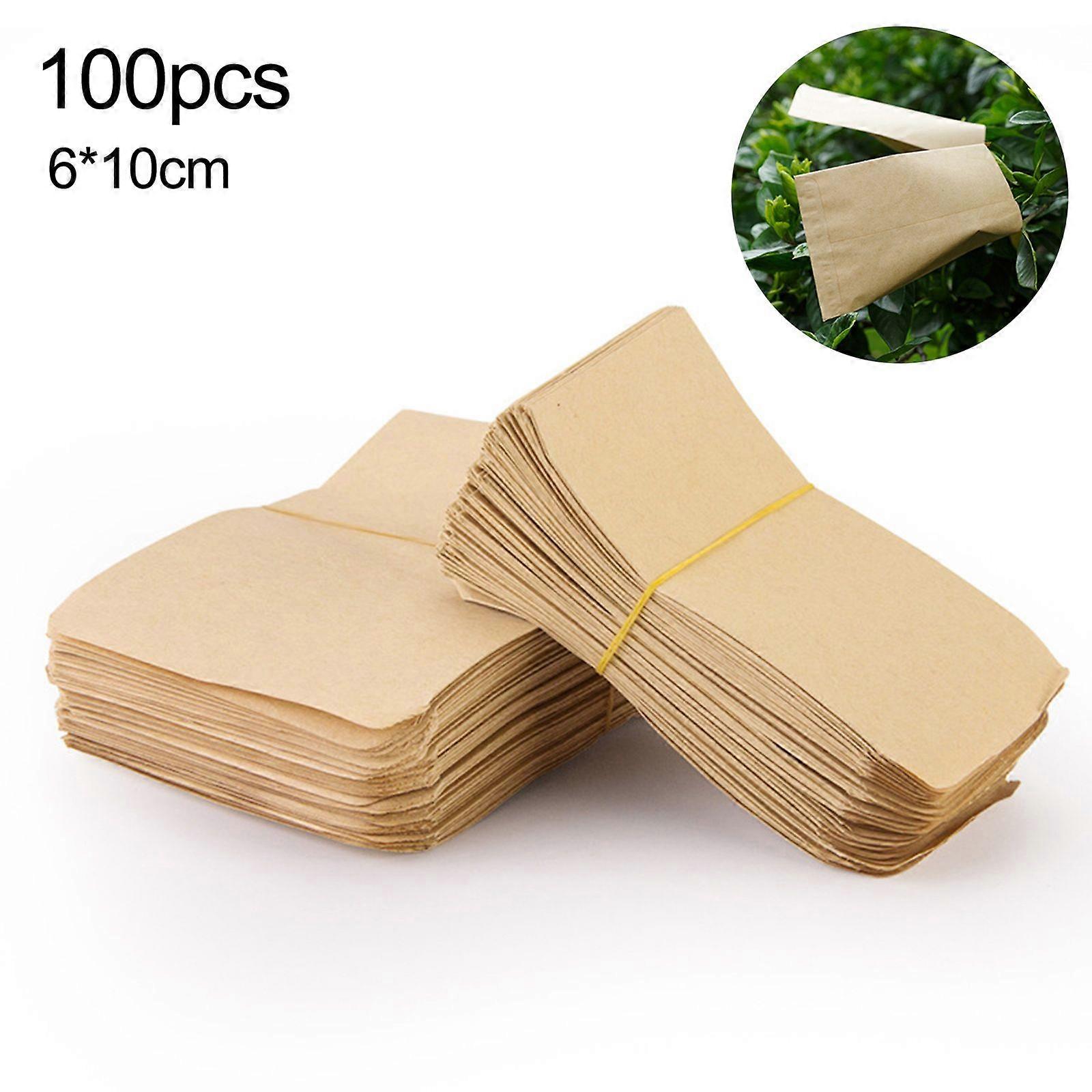 Fast Ship bestselger 100 Pack Kraft Seed Saving Konvolutter Bulk Set Coin konvolutter Kraft Storage Bags