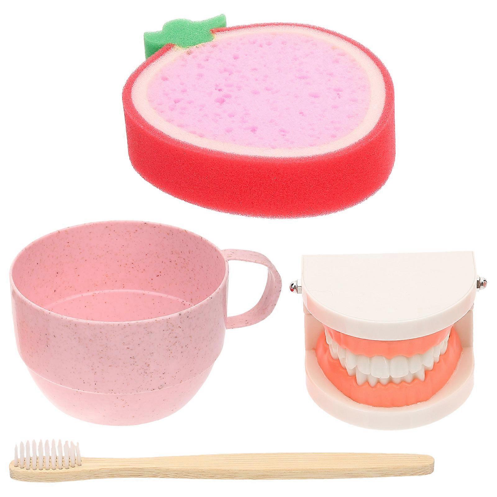 Tooth Brushing Model Care Model for School Education Children Teaching Tool Assorted Color 15x11.5cm 1 Set
