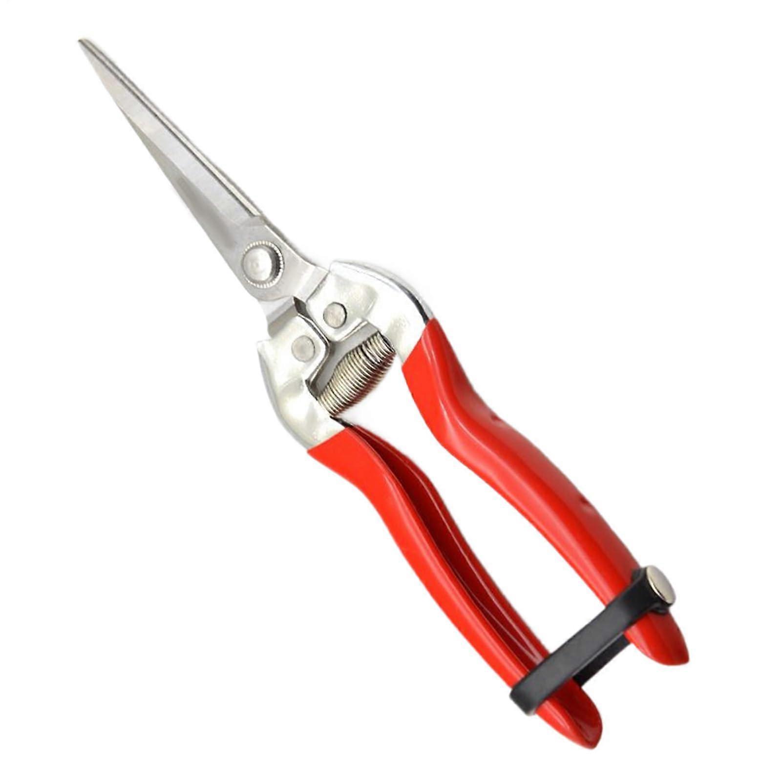 Pruning Shears For Garden Work | Stainless Steel Pruning Shears For Fruit Trees, Grapevines, Citrus | Durable Blade