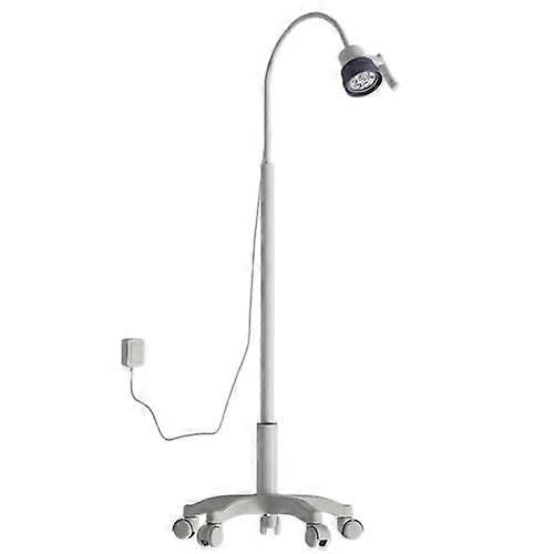 LED Exam Light Mobile Medical Examination Lamp for Gynecology, Dentistry, and Veterinary Use, Gooseneck Design for Adjustable Lighting