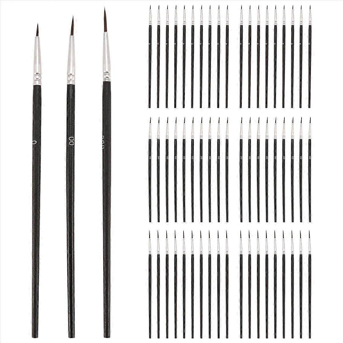 60pcs Detail Paint Brushes, Fine Tip Paint Brush with 3Sizes 0 00 000