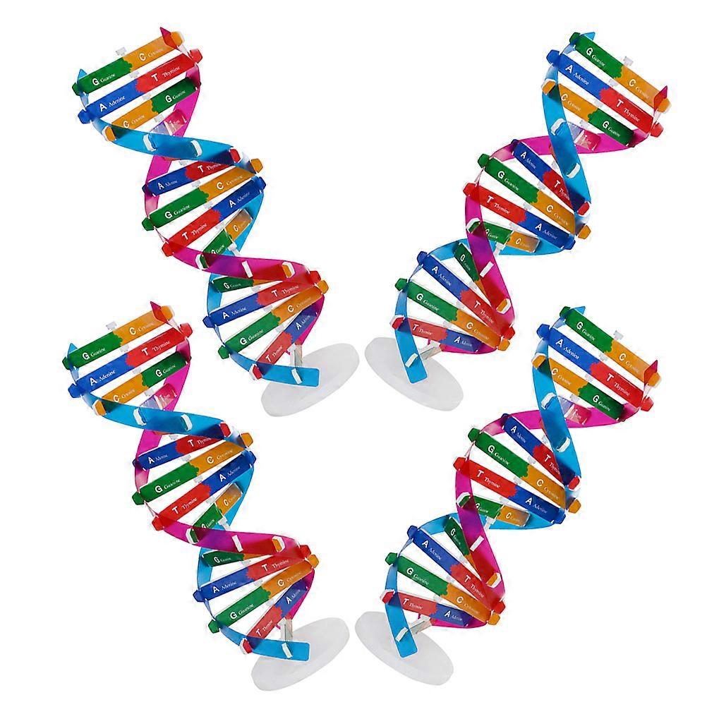 Dna Molecular Model Human Genes Teaching Tool Double Helix 4Pcs Kit