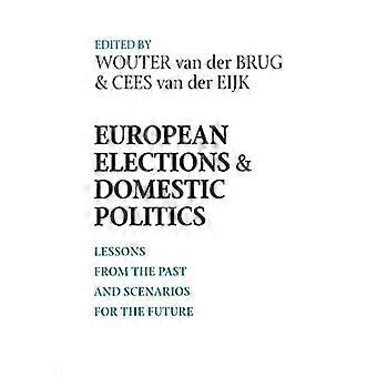 Wahlen zum Europäischen Parlament und Innenpolitik: Lehren aus der Vergangenheit und Szenarien für die Zukunft (Contemporary European Politics and Society)