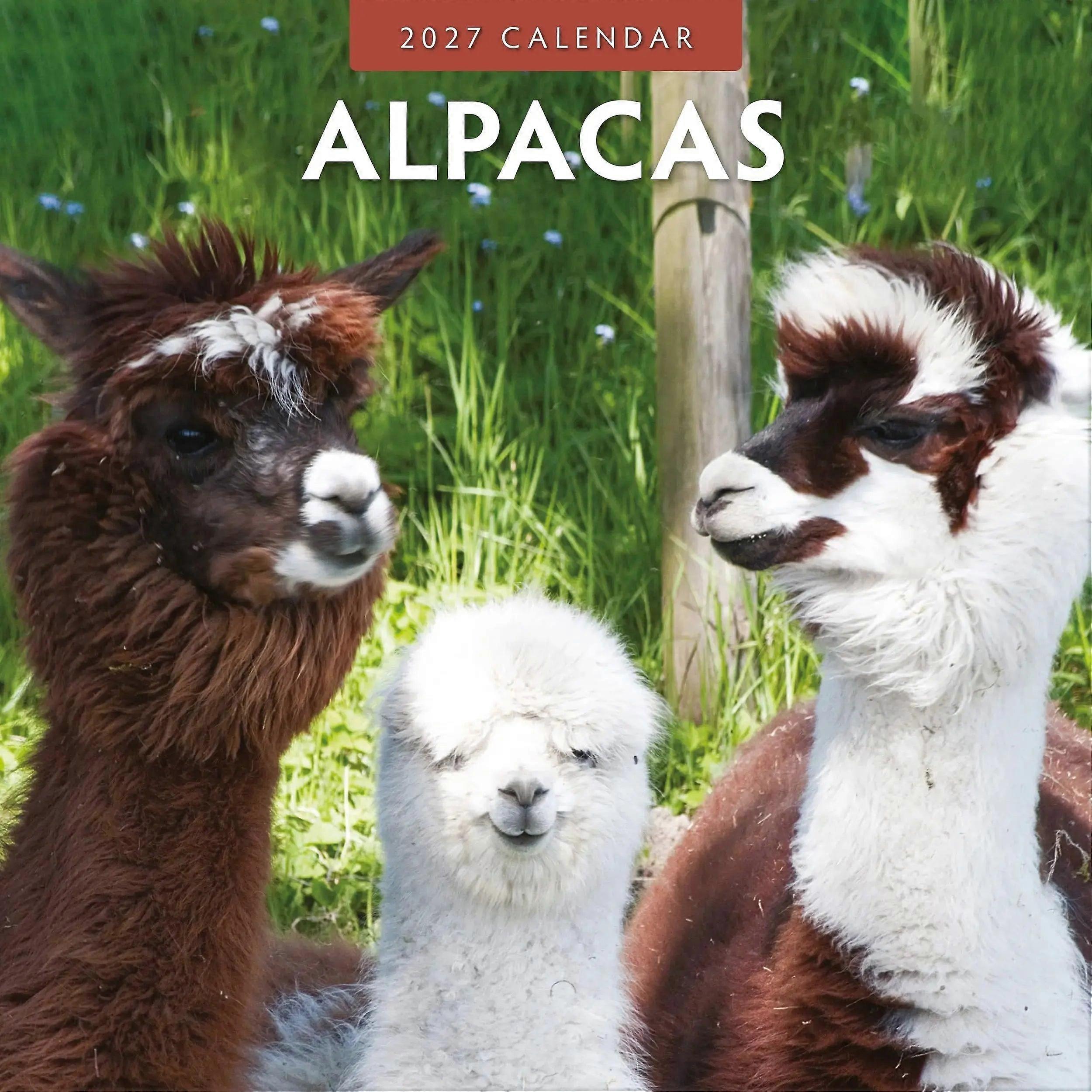 Red Robin Red Robin Alpaca Calendar 2026