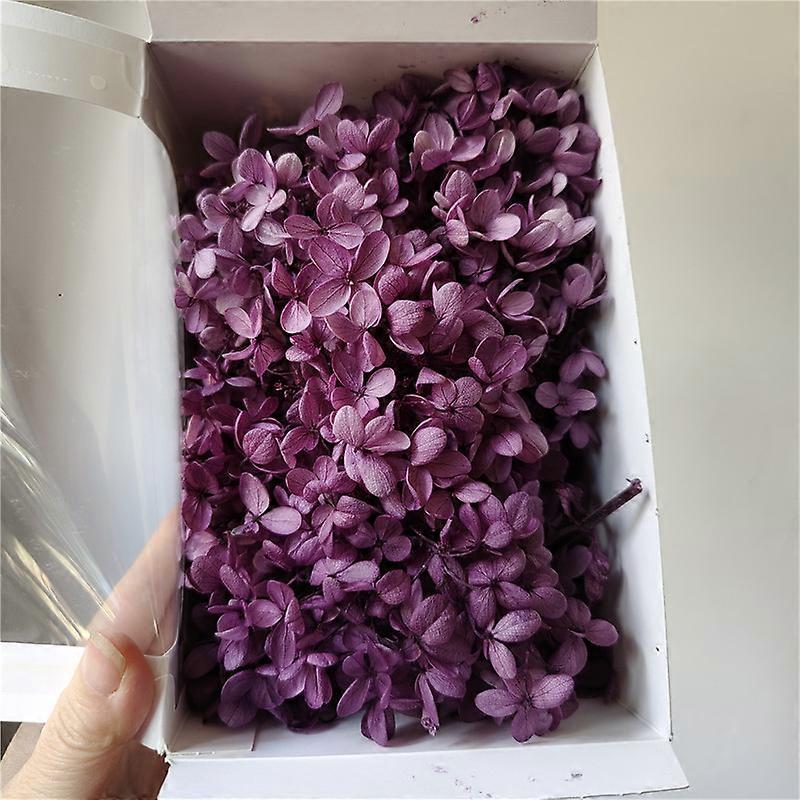 20g/lotEvig hortensia mellombladet tre Hortensia friskholdende blomstfotoramme juledekorasjon harpiks kunst liten blomst