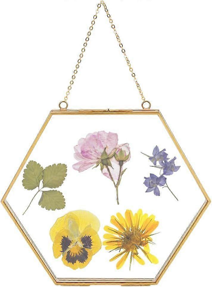 21.9x24x1.6cm/8.6x9.4x0.6Inch Hexagon Glass frame for Wine Bottle Caps Gold Double Frame Artwork Display Frame with Chain DIY Artwork Display Frame fo