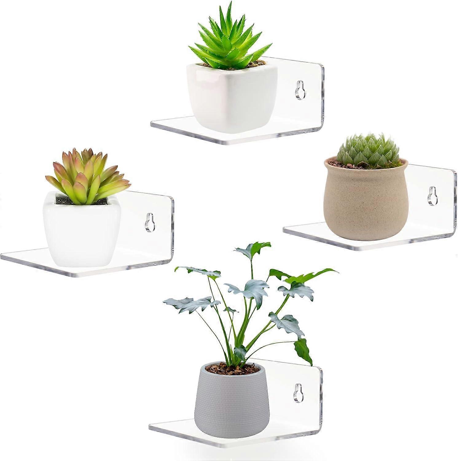 Acrylic Mini Floating Decorations 3.9 Inch Pack Of 4 Mini Display Decor