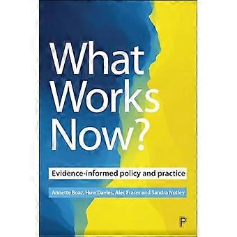 What Works Now? Evidence Informed Policy and Practice