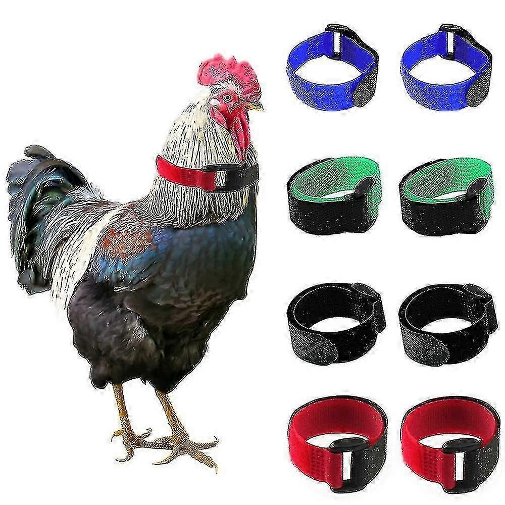 Guler de pui Textura moale Anti-cocoș Crowing reglabil Anti-cârlig Cocoș Guler de păsări de curte consumabile de înaltă calitate