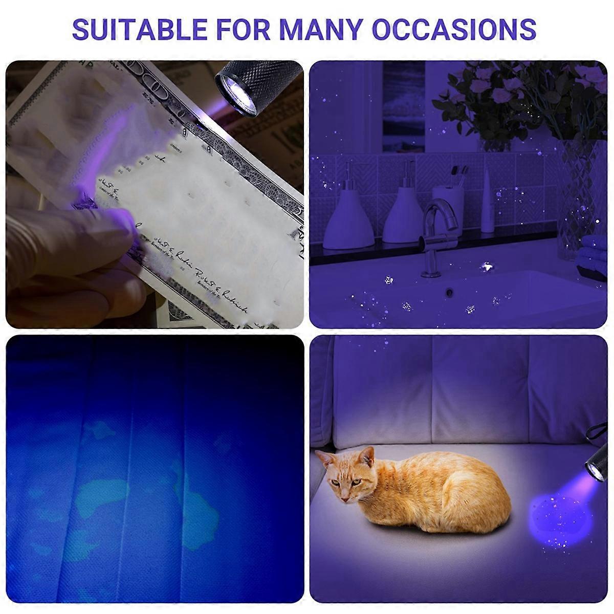  Light Flashlight for Pet Urine Detection, Mini LED Detector