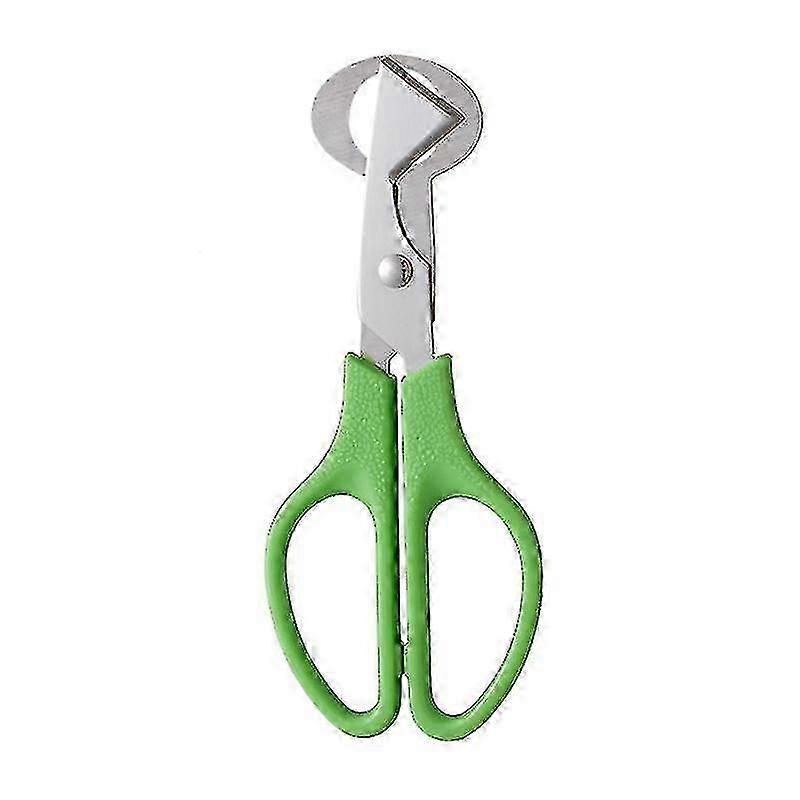 Quail Egg Scissors Stainless Steel Kitchen Tool for Quick Shelling - Jikaix
