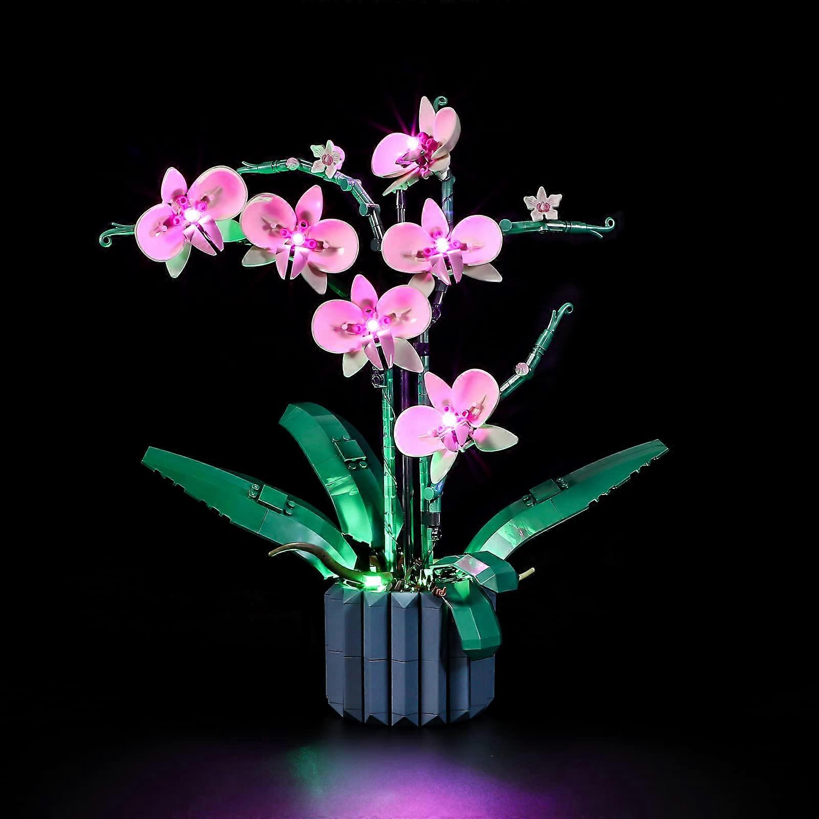 LED Lighting Kit for  10311 Orchid  Compatible with  Building Blocks Model  Model Set Not Included