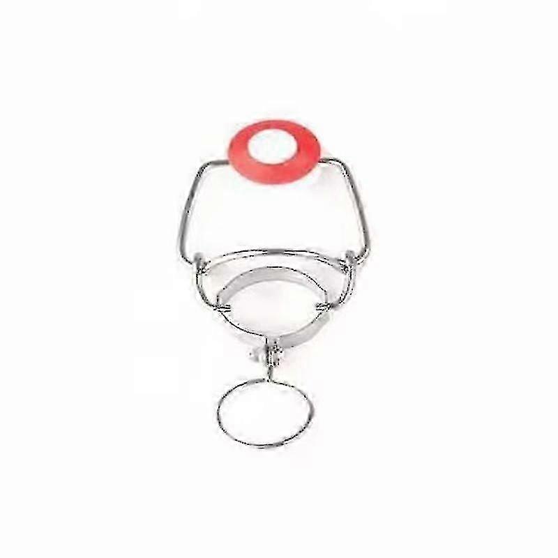 Red Silicone Gaskets Seal Safe Rubber Rings Washer Replacement Available For Swing Flip Top Bottle Home Brew Beer Bottle Seals(1pc, Red)