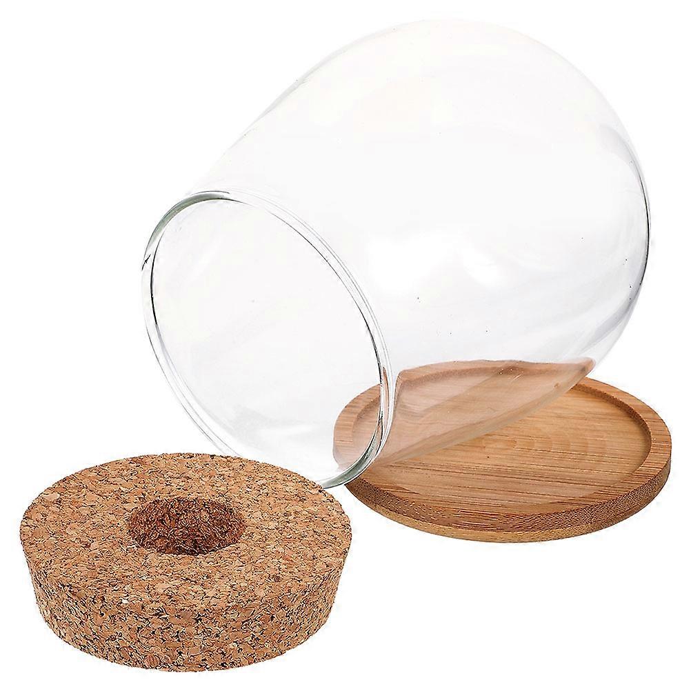 Versatile Hydroponics Planter Vase With Drop Shape Clear Design For Home Office 1 Set