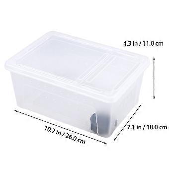 Boîte d’élevage de reptiles et d’amphibiens, étui de rangement en plastique, récipient d’éclosion d’alimentation pour araignée, scorpion, gecko, insecte, serpent, tortue (blanc)