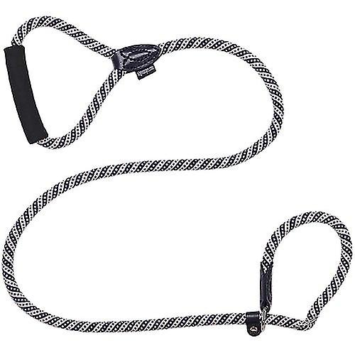 Strong Braided Slip Dog Leash
