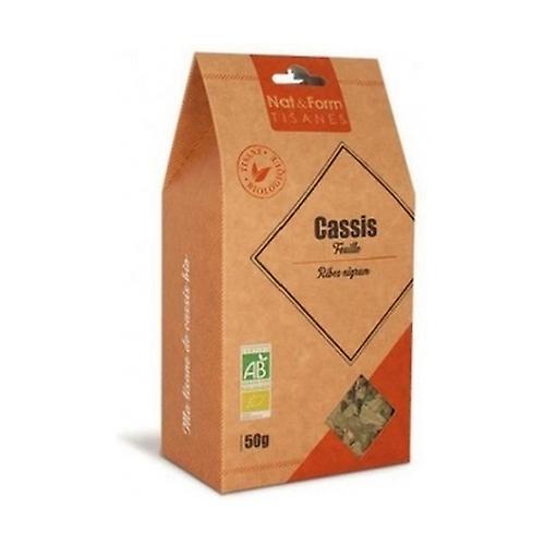 Organic Blackcurrant Herbal Tea 50 g