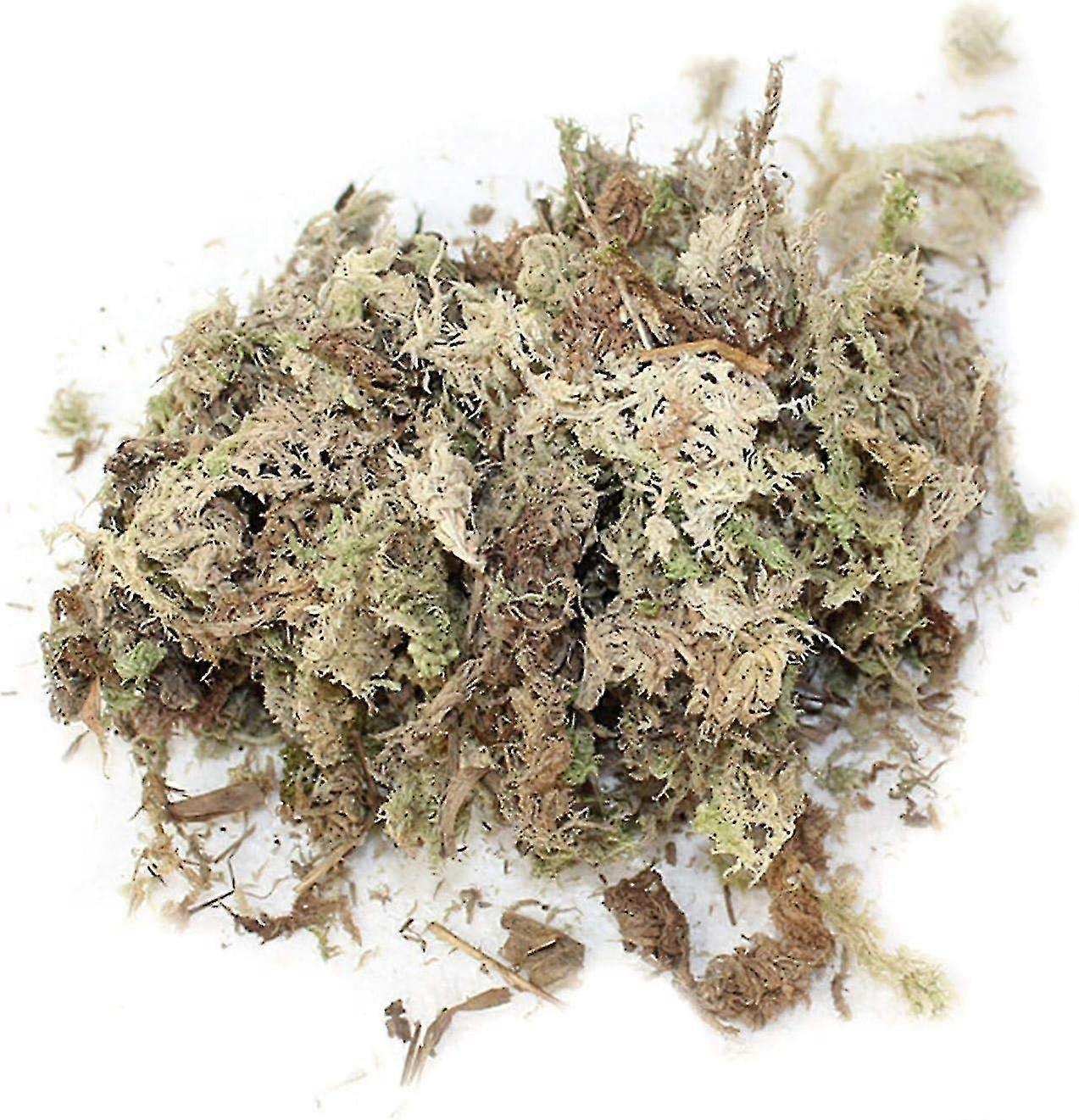 Fresh Sphagnum Moss, Natural Sphagnum Moss Dried For Orchids, Tropical Plants Water Moss Dry Moss Phalaenopsis Orchids Soilless Cultivation Substrate