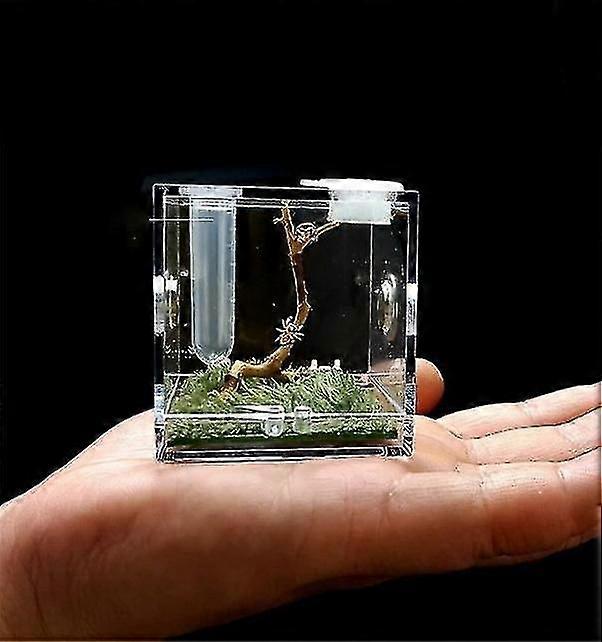 スパイダースモール昆虫通気性飼育ボックス透明爬虫類飼育ボックスアクリルエンティのアクリル取り付けエコボックス