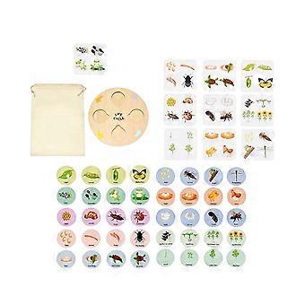 Life Cycle Tray for Age 3 to 6 Jigsaw Puzzles for Toddlers Kids Party Favors