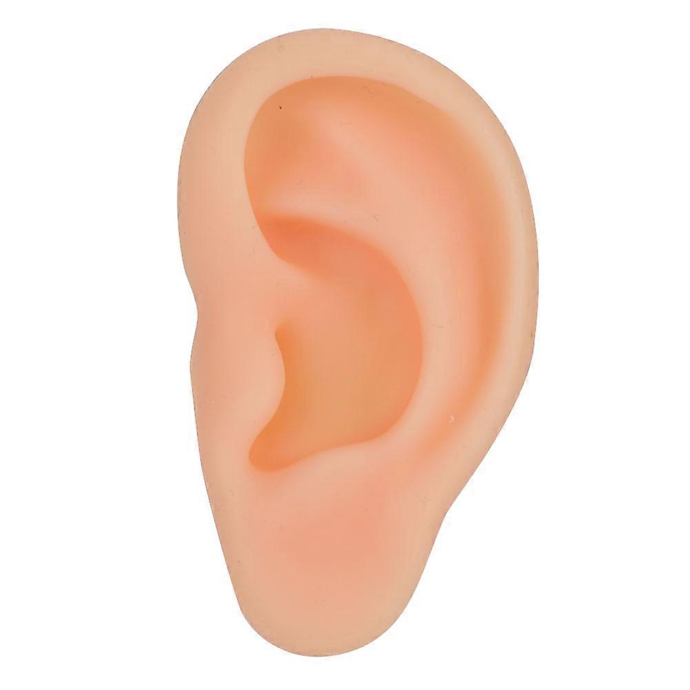 Professional Simulated Ear Model Acupuncture Practice Massage Teaching ToolLeft