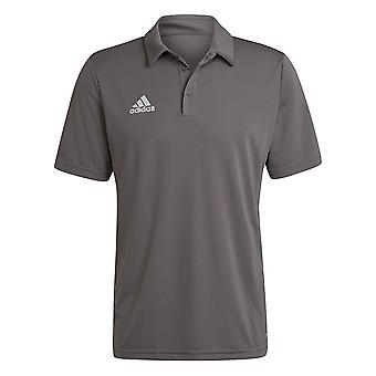 Adidas Entrada 22 H57486 universale tutto l'anno uomo