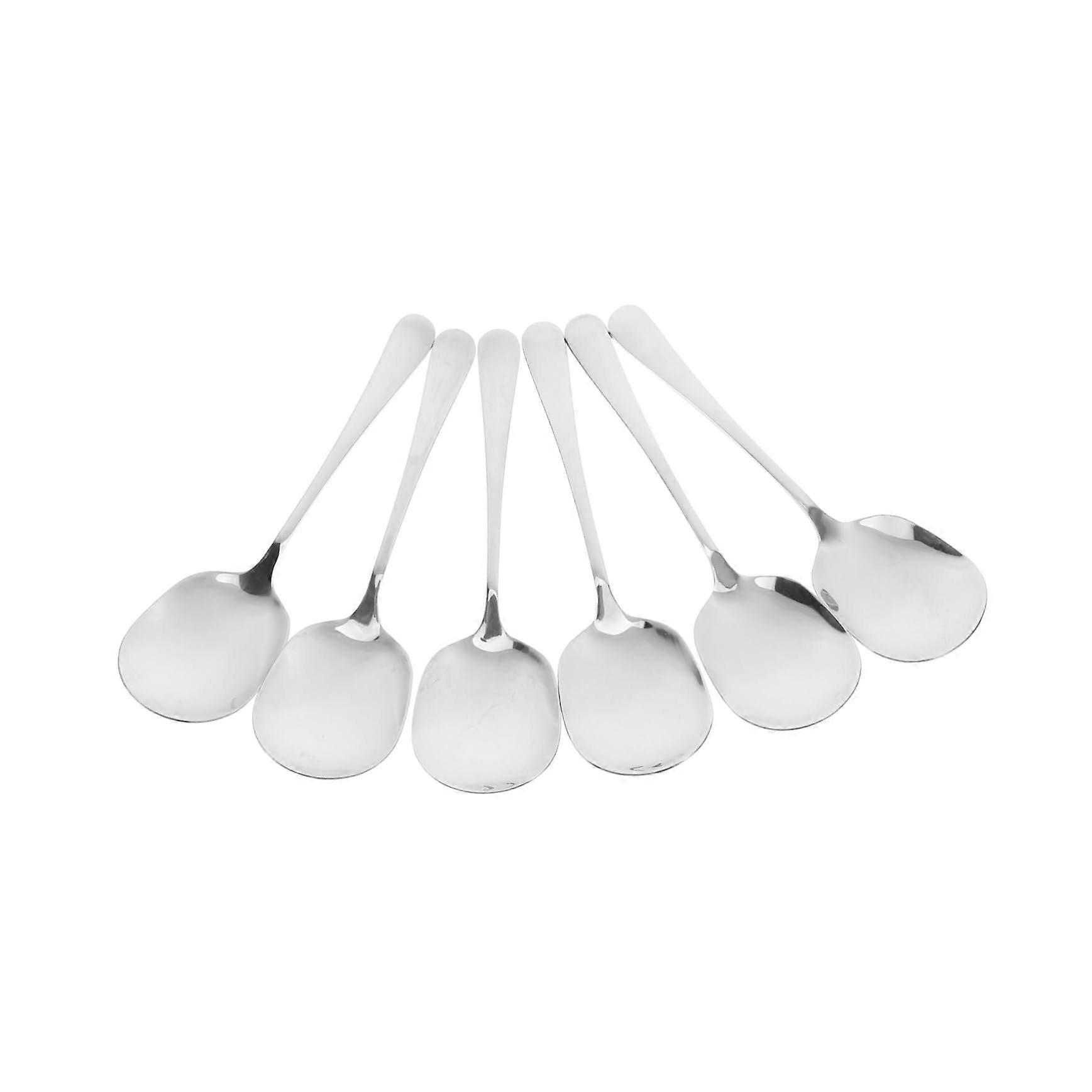 Stainless Steel Serving Spoons Set of 6 for Food Parties Soup