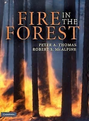 Fire in the Forest