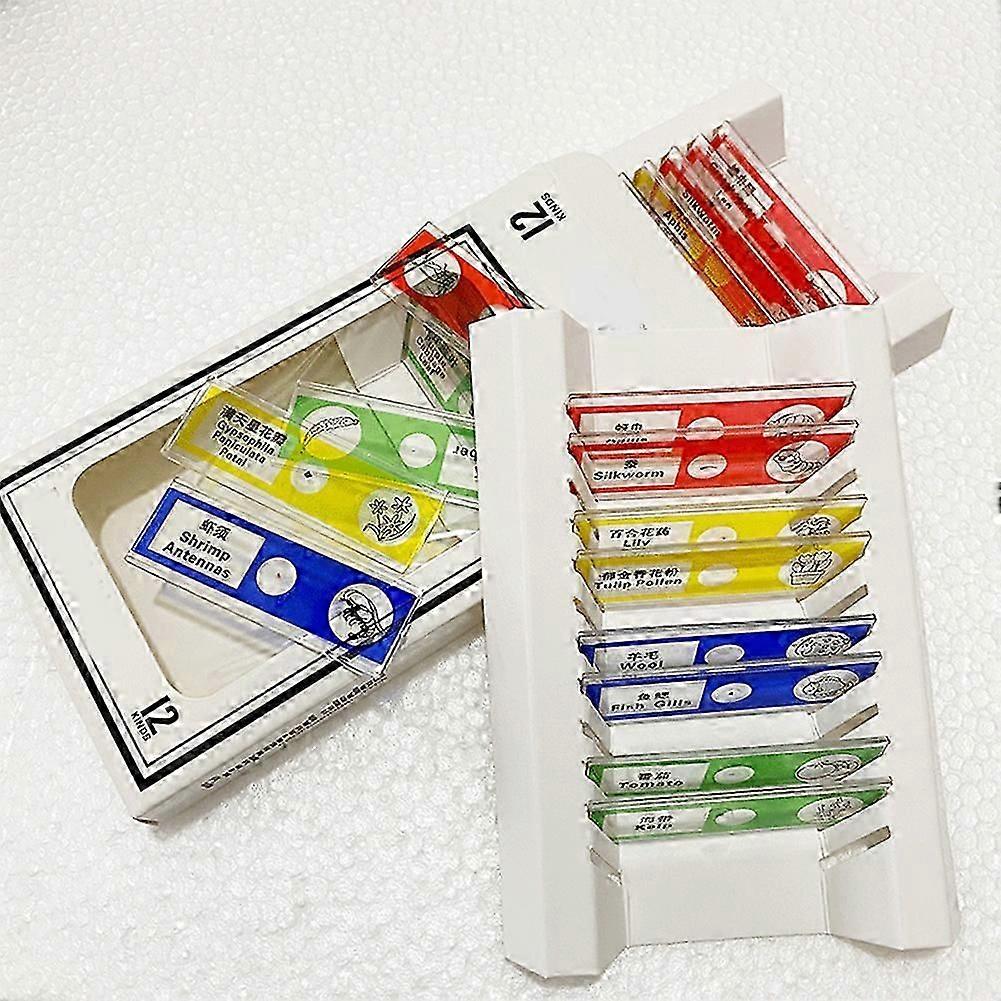 12pcs Microscope Slides with Specimens for Kids Plastic Prepared Slides for Microscope of Plants Flowers Sample New