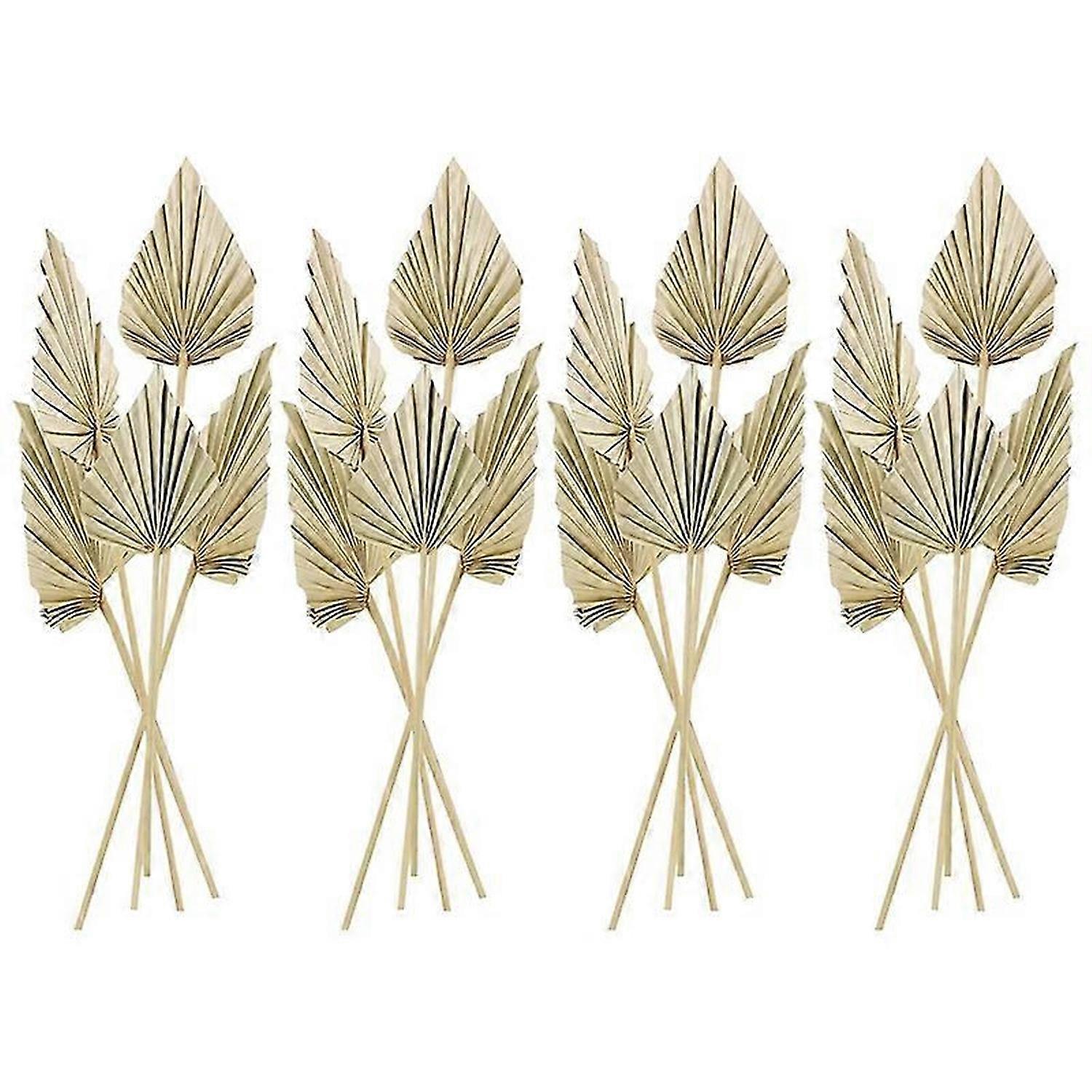 20Pcs Boho Dried Palm Spears Leaves, with Stem Dried Leaf Decor Vase