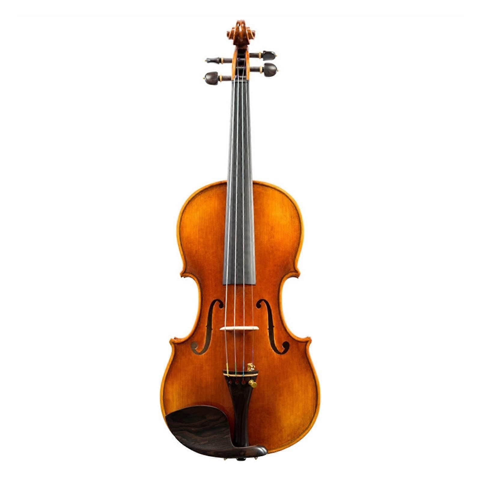4/4 Full Size Violin for Beginners and Adults with Case, Beautiful Starter Student Violin Kit