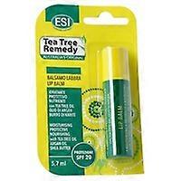 Tea Tree Lipstick 5,7 ml