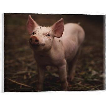 Pig Farm Cute Piggy Animal Jigsaw Puzzle Jigsaw Puzzles Pictures Rustic Artwork foration VV574