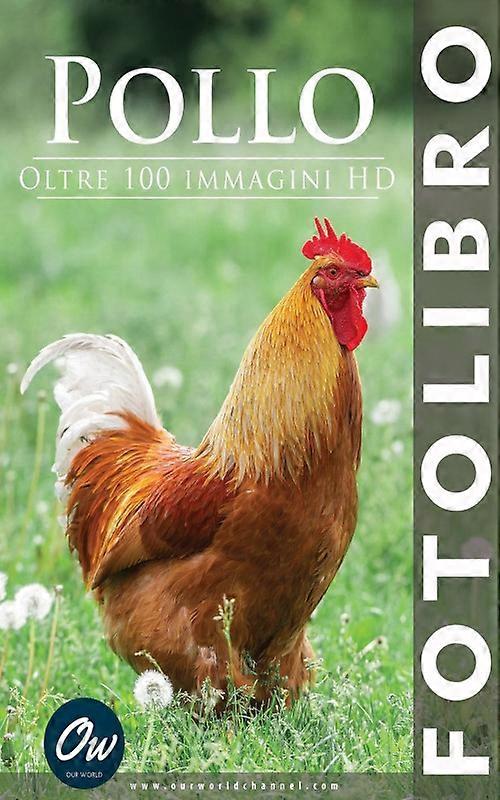 Pollo Fotolibro