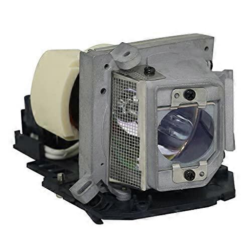 Replacement Projector Lamp Compatible with Acer EC.J6900.001, Osram Bulb Inside