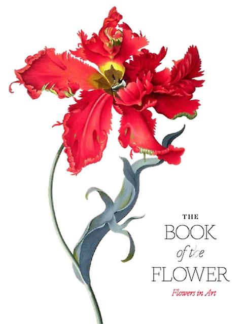 The Book Of The Flower by Kendra Wilson Paperback Book